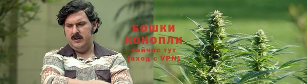 мдма Медногорск
